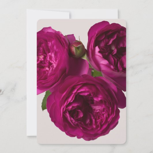 Dunkelrosa Rosen Romantische Hochzeit Einladung (Rückseite)