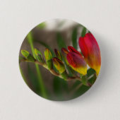 Dunkelrot-Freesie Button (Vorderseite)