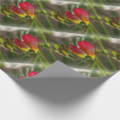 Dunkelrot-Freesie Geschenkpapier (Ecke)