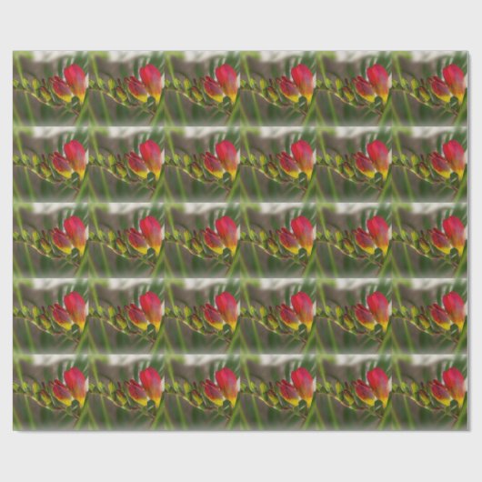 Dunkelrot-Freesie Geschenkpapier (Flach)