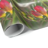 Dunkelrot-Freesie Geschenkpapier (Rolleneckpunkt)