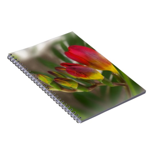 Dunkelrot-Freesie Notizblock (Rechte Seite)