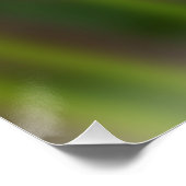 Dunkelrot-Freesie Poster (Ecke)