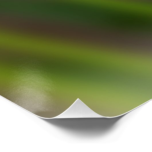 Dunkelrot-Freesie Poster (Ecke)