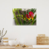 Dunkelrot-Freesie Poster (Küche)