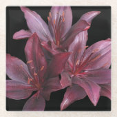 Dunkelrote Asiatische Lilien auf schwarzer Flora Glasuntersetzer (Vorderseite)