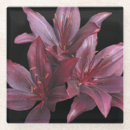 Dunkelrote Asiatische Lilien auf schwarzer Flora Glasuntersetzer