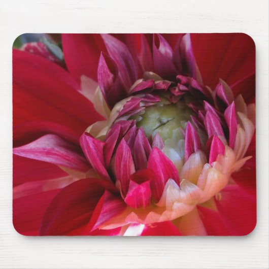 dunkelrote Blüte Mousepad (Vorne)