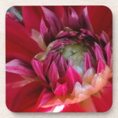 dunkelrote Blüte Untersetzer (Vorderseite)