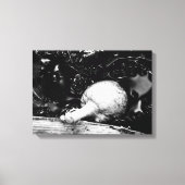 Dunkelschützer Leinwanddruck (Vorderseite)