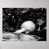 Dunkelschützer Poster (Vorne)