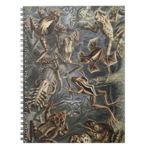 Dunkle Akademie Haeckel Vintage Frosch Natur Druck Notizblock