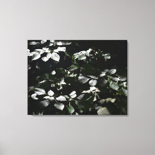 Dunkle Blätter Leinwanddruck