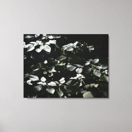 Dunkle Blätter Leinwanddruck (Vorderseite)