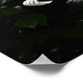 Dunkle Blätter Poster (Ecke)