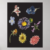 Dunkle botanische Blume auf schwarz Poster (Vorne)