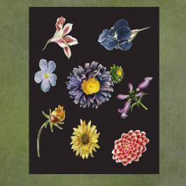 Dunkle botanische Blume auf schwarz Poster
