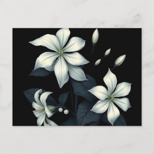 Dunkle botanische Nacht blühende Jasmine Postkarte