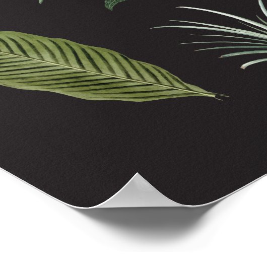 Dunkle botanische Pflanze Blätter auf schwarz Poster (Ecke)