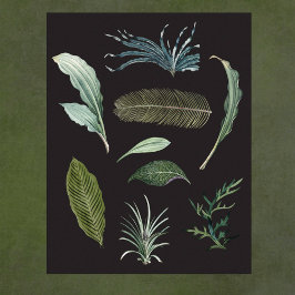 Dunkle botanische Pflanze Blätter auf schwarz Poster
