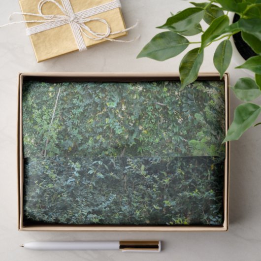 Dunkle botanische Vegetation mit Blumenhintergrund Seidenpapier (Geschenk)