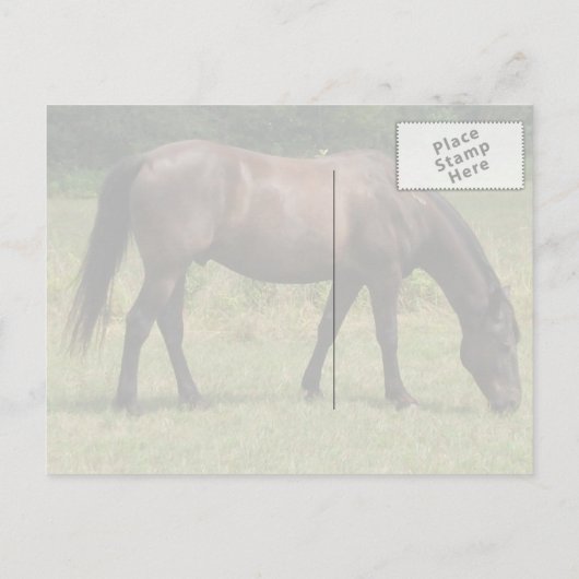 Dunkle Bucht Pferdeweiden im Grasfeld Postkarte (Rückseite)