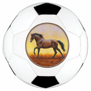Dunkle Bucht Stallion Pferde Galopp Fußball