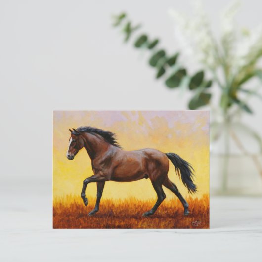 Dunkle Bucht Stallion Pferde Galopp Postkarte (Stehend Vorderseite)