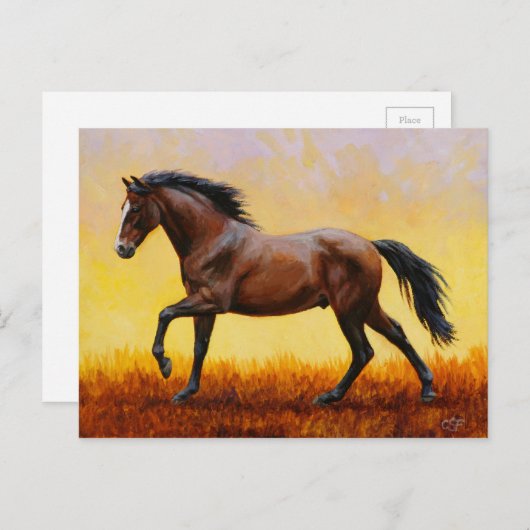 Dunkle Bucht Stallion Pferde Galopp Postkarte (Vorne/Hinten)