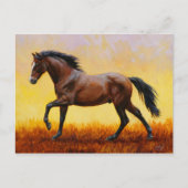 Dunkle Bucht Stallion Pferde Galopp Postkarte (Vorderseite)