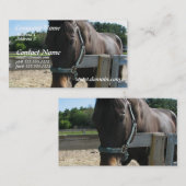 Dunkle Buchtthoroughbred-PferdeVisitenkarte Visitenkarte (Vorne/Hinten)