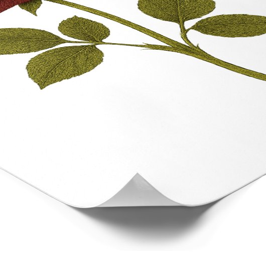 Dunkle Crimson-Rose — Trauer Poster (Ecke)