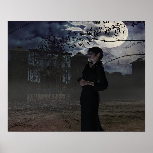 Dunkle Fairy im Mondlicht Poster (Vorne)