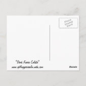 Dunkle Fee Calista Postkarte (Rückseite)