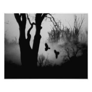 Dunkle geheimnisvolle Waldkrähen Fotodruck