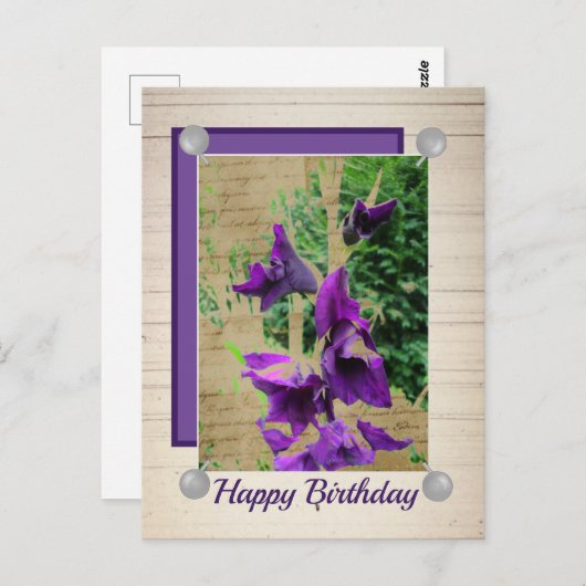 Dunkle Gladiole Postkarte (Vorne/Hinten)