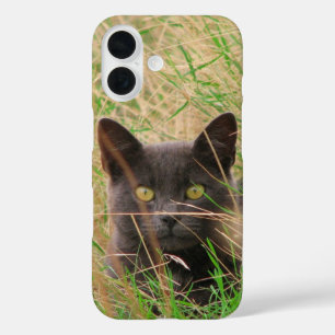 Dunkle graue Katze, die aus dem Gras herauspinkelt iPhone 16 Hülle