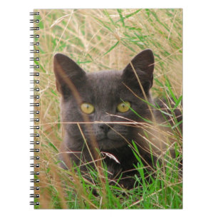 Dunkle graue Katze, die aus dem Gras herauspinkelt Notizblock