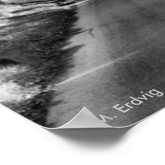 Dunkle Hecken B&W Print Poster (Ecke)