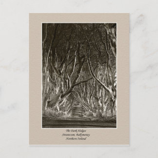 Dunkle Hecken, Stranocum, Ballymoney NI Postkarte