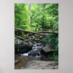 Dunkle Hollow Falls #4904 Poster