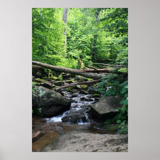 Dunkle Hollow Falls #4904 Poster (Vorne)