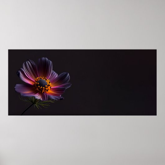 Dunkle Kosmos-Blume Poster (Vorne)