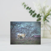 Dunkle Kuh Postkarte (Stehend Vorderseite)