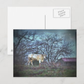Dunkle Kuh Postkarte (Vorne/Hinten)