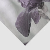 Dunkle Lila Iris-Blume für Decodge Seidenpapier (Ausschnitt)