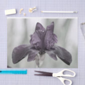 Dunkle Lila Iris-Blume für Decodge Seidenpapier (Handwerk)