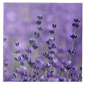 Dunkle Lila Lavendel-Blume Fliese (Vorderseite)