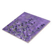 Dunkle Lila Lavendel-Blume Fliese (Seite)