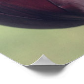 Dunkle Lila Tulip-Blume Poster (Ecke)